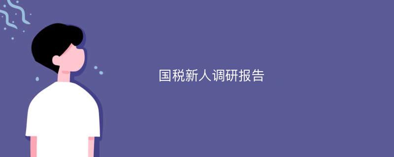 国税新人调研报告