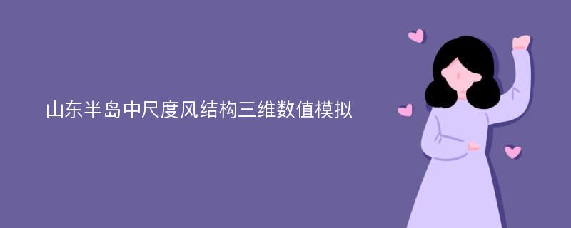 山东半岛中尺度风结构三维数值模拟