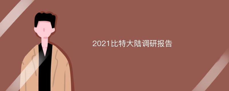 2021比特大陆调研报告