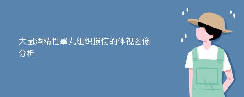 大鼠酒精性睾丸组织损伤的体视图像分析