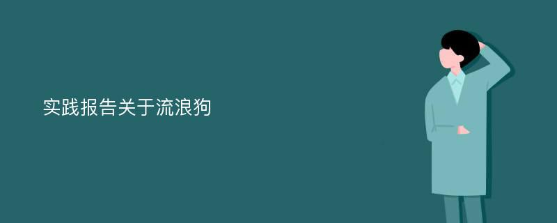 实践报告关于流浪狗