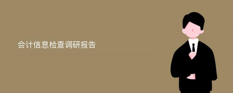 会计信息检查调研报告