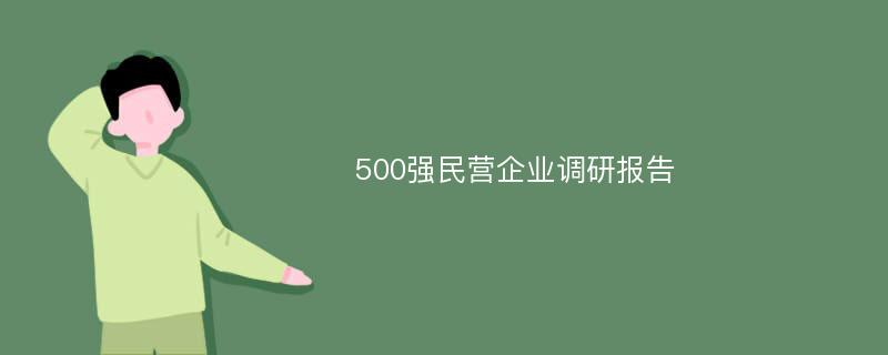 500强民营企业调研报告