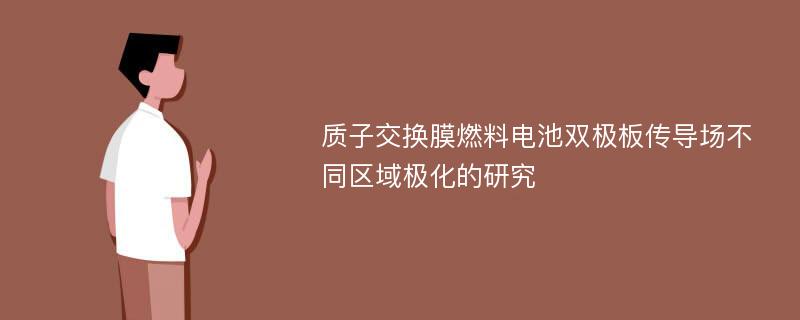 质子交换膜燃料电池双极板传导场不同区域极化的研究